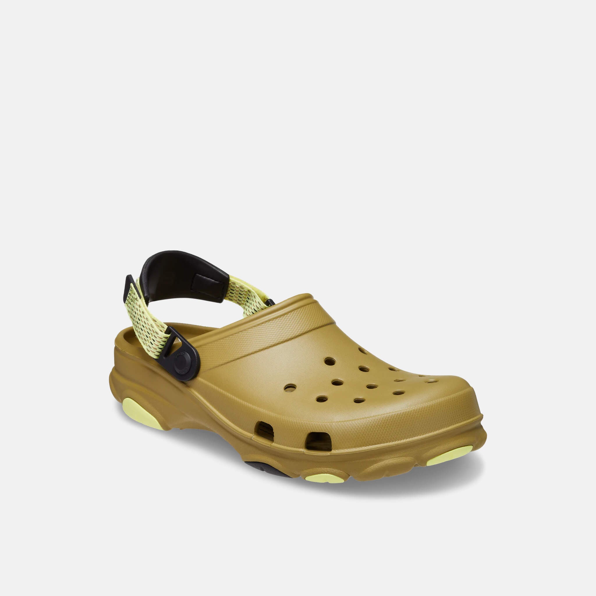 Classic All Terrain Clog Aloe